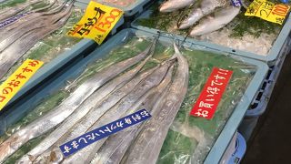 とれとれの新鮮な魚と和歌山のお土産が揃う