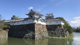 あまり大きくはありませんが。