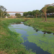 様仔林埤濕地公園