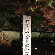 幻想的な夜の紅葉の世界