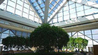 パークハイアットの中ではお手軽です！