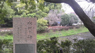 スポーツセンター