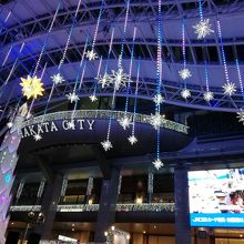 見上げてもきれい