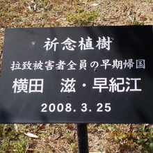 横田さんご夫妻の祈念植樹がありました。