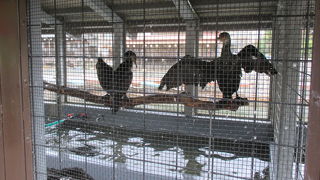 散策するには気持ちの良い場所