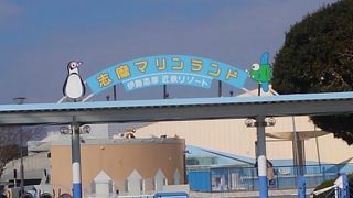 海女さんの餌付けが見られる水族館