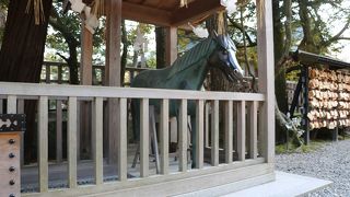 出雲大社拝殿前