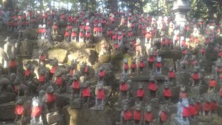 狐様に圧倒されます