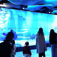 フロア全体に海中の映  像が投影されてました