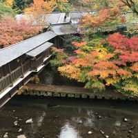 客室から見えた美しい紅葉