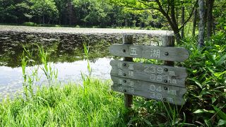 知床五湖を全周、国立公園を歩く