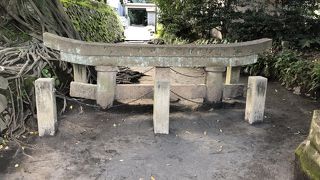 火山灰の凄さが解る