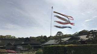 岡山城を眺めながら