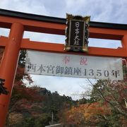 紅葉、鮮やかに秋の午後、日吉大社