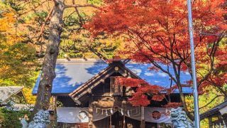 紅葉がきれいでした