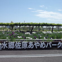 ゲートを入ると