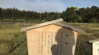 田植え前の井田