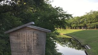 緩やかな土手と合わせた景観が良い感じ