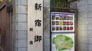 開放的な空間で秋を満喫