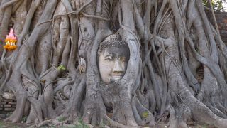 アユタヤのシンボル