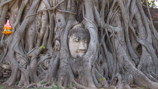 アユタヤ観光の目玉