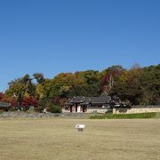 広大な広場に、、、