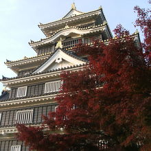 天守閣脇に紅葉する木がある