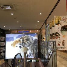 秋田空港