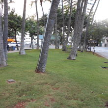 カイウラニ三角公園