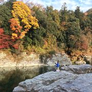 対岸の紅葉が川面に映る風景