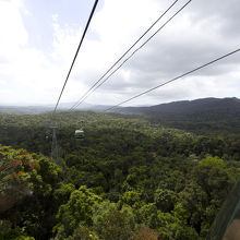 熱帯雨林の上を通過