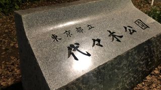 紅葉した銀杏と敷き詰められた落ち葉がとても綺麗でした。