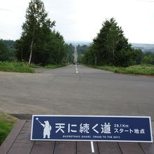 見事な直線に感激