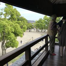 展望台からの眺め