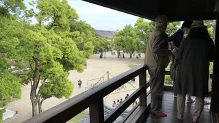 良い眺めです。