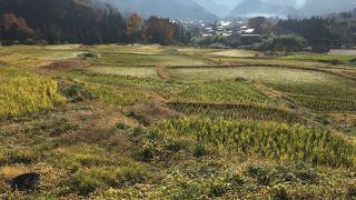 駐車場や東屋もありました