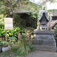 植え込みの様子