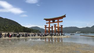 二度目の宮島訪問