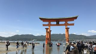 大鳥居が良い感じです。