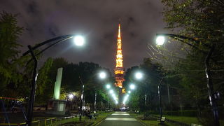 テレビで見た光景