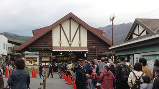 紅葉の時期だったので、３０分待ちの行列でした