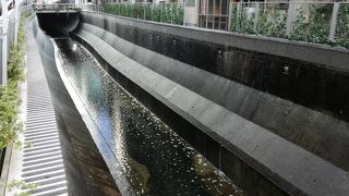 渋谷を流れる河川