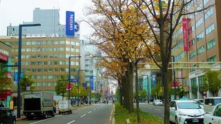 札幌駅から旧本庁舎に/時計台から大通公園に[札幌駅前通]を