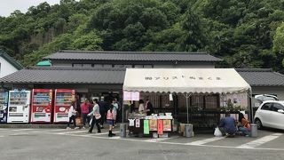 ぴちぴちなお魚