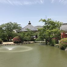 神社と池