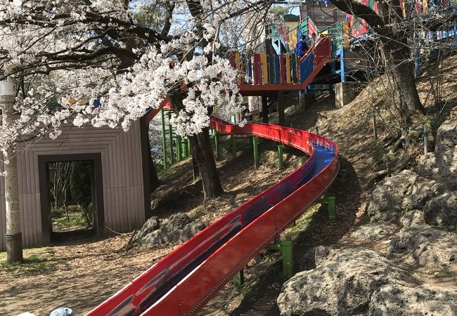 八幡山公園 栃木県宇都宮市 クチコミ アクセス 営業時間 宇都宮 フォートラベル
