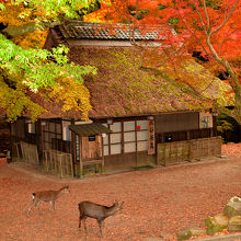 奈良ではの雰囲気を味わってください。