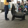 大好きな水族館