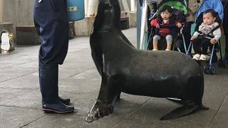 大好きな水族館
