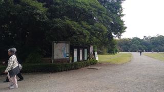 汐留エリアの庭園